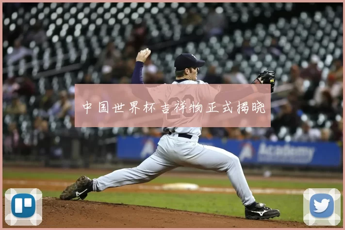 中国世界杯吉祥物正式揭晓