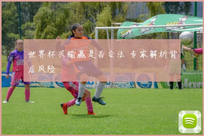 世界杯买输赢是否合法 专家解析背后风险