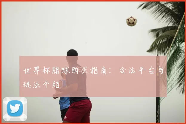 世界杯赌球购买指南：合法平台与玩法介绍