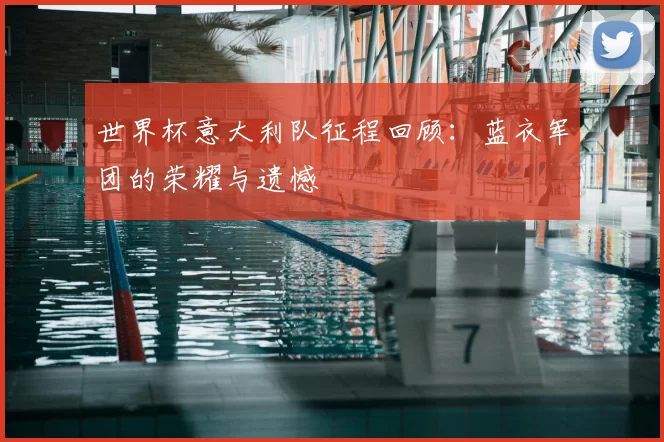 世界杯意大利队征程回顾：蓝衣军团的荣耀与遗憾