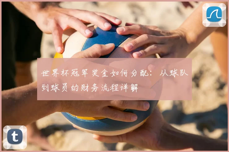 世界杯冠军奖金如何分配：从球队到球员的财务流程详解