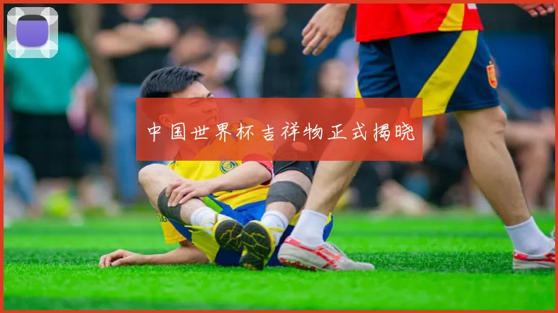 中国世界杯吉祥物正式揭晓