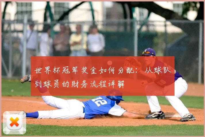 世界杯冠军奖金如何分配:从球队到球员的财务流程详解