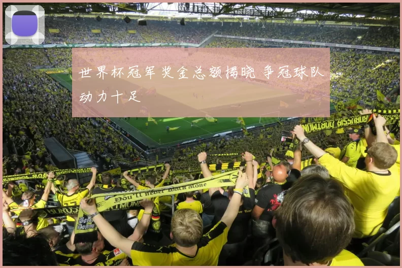 世界杯冠军奖金总额揭晓 争冠球队动力十足