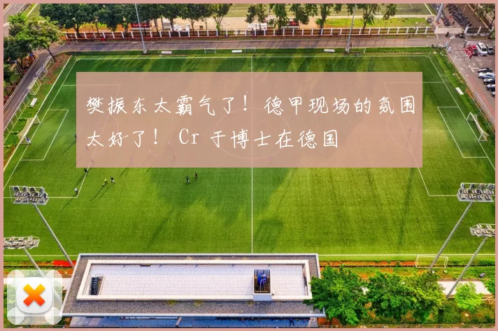 樊振东太霸气了！德甲现场的氛围太好了！ Cr 于博士在德国