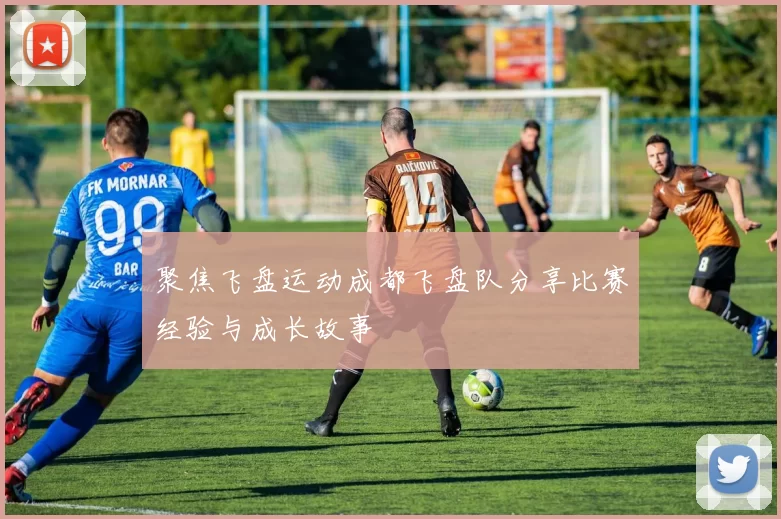 聚焦飞盘运动成都飞盘队分享比赛经验与成长故事