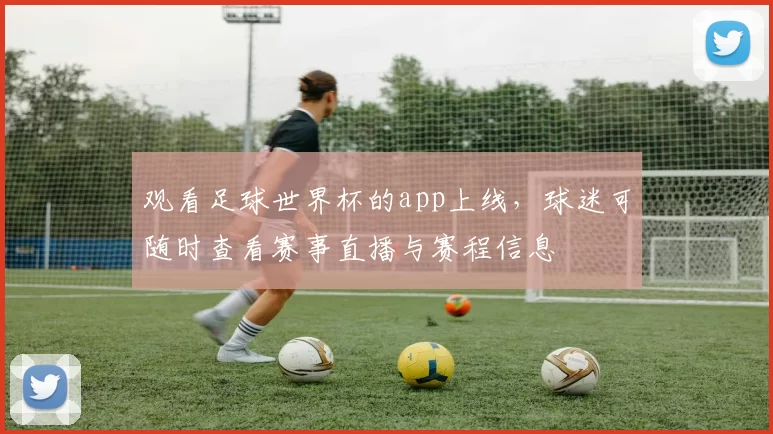 观看足球世界杯的app上线,球迷可随时查看赛事直播与赛程信息